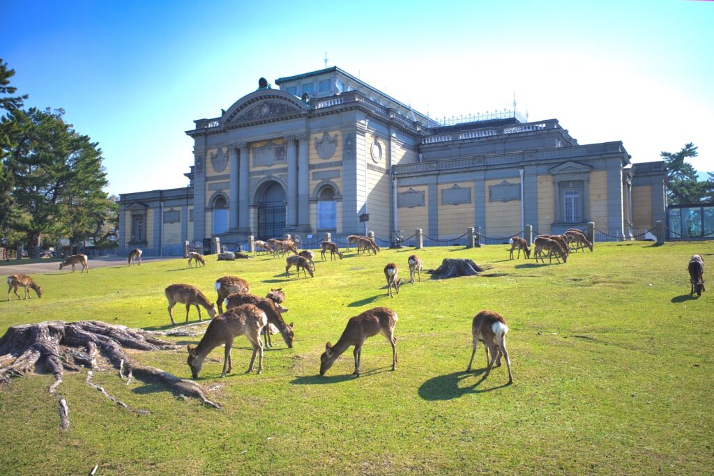 奈良国立博物館