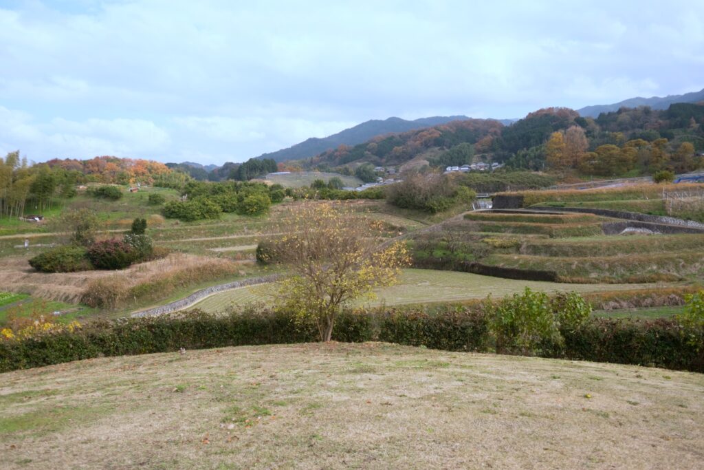 国営飛鳥歴史公園高松塚周辺地区