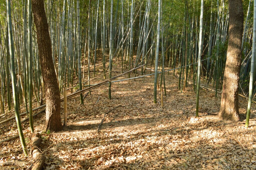 川合大塚山古墳