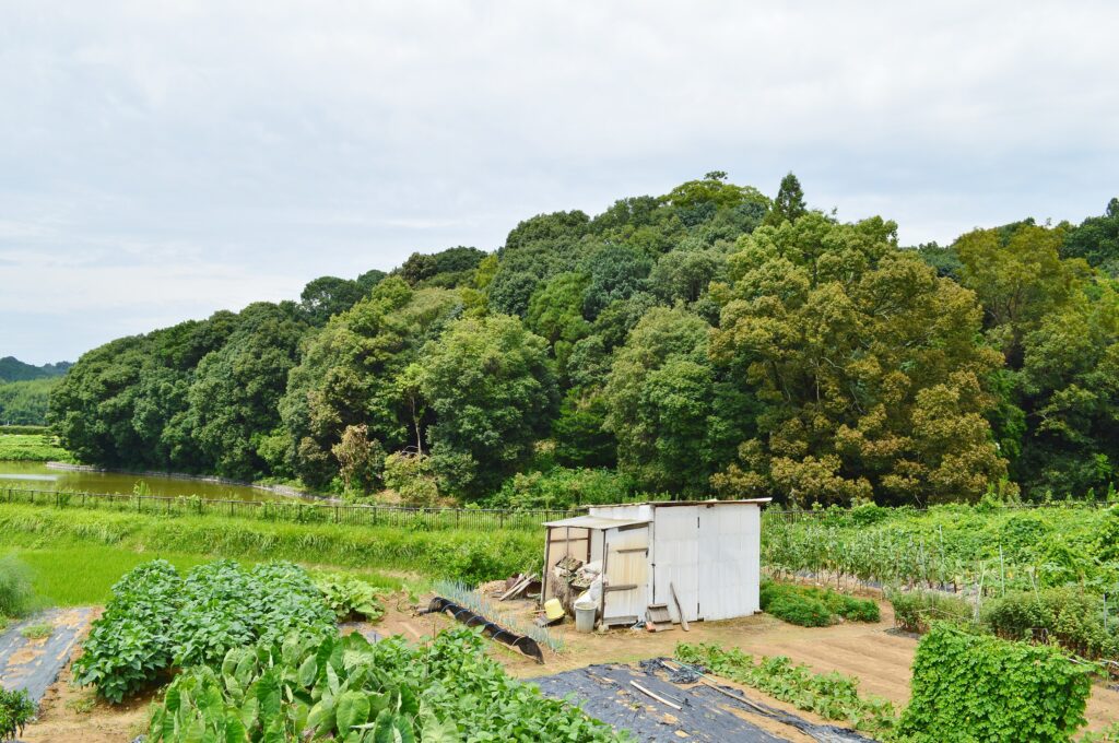平田梅山古墳