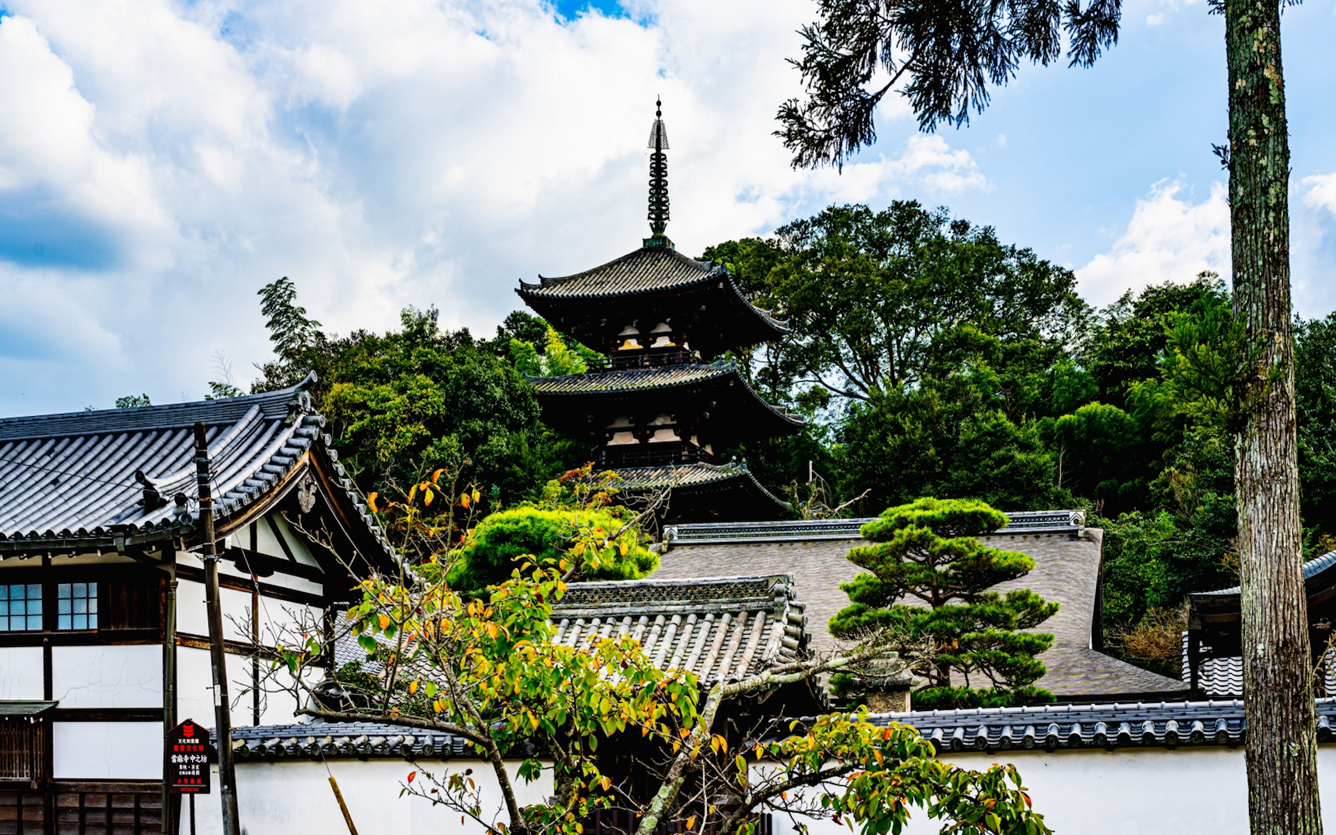 當麻寺・東塔