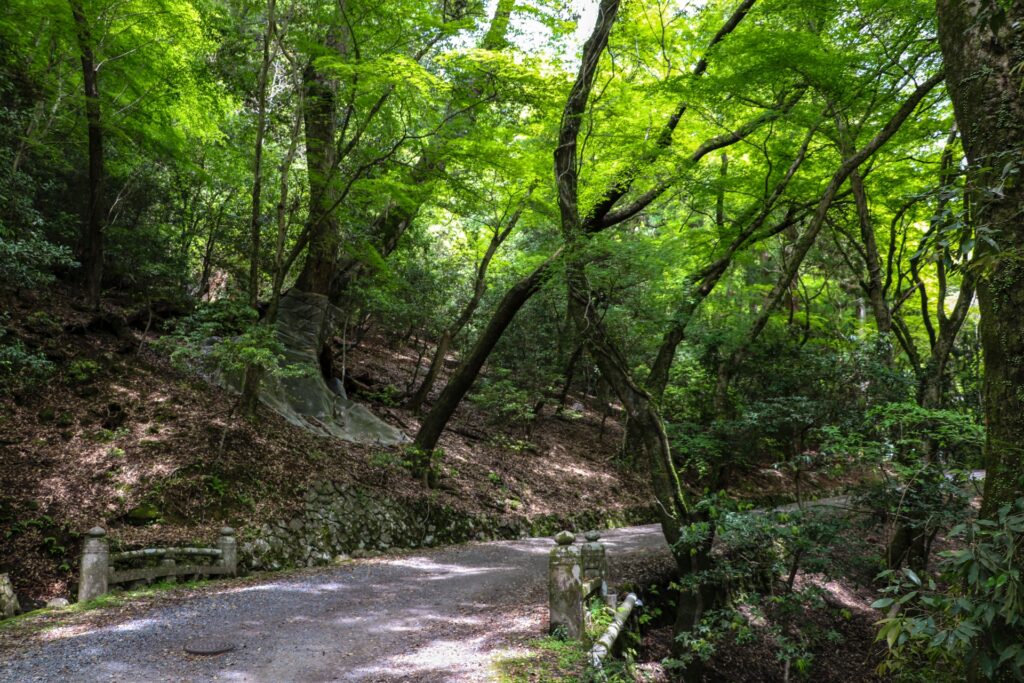 春日山遊歩道