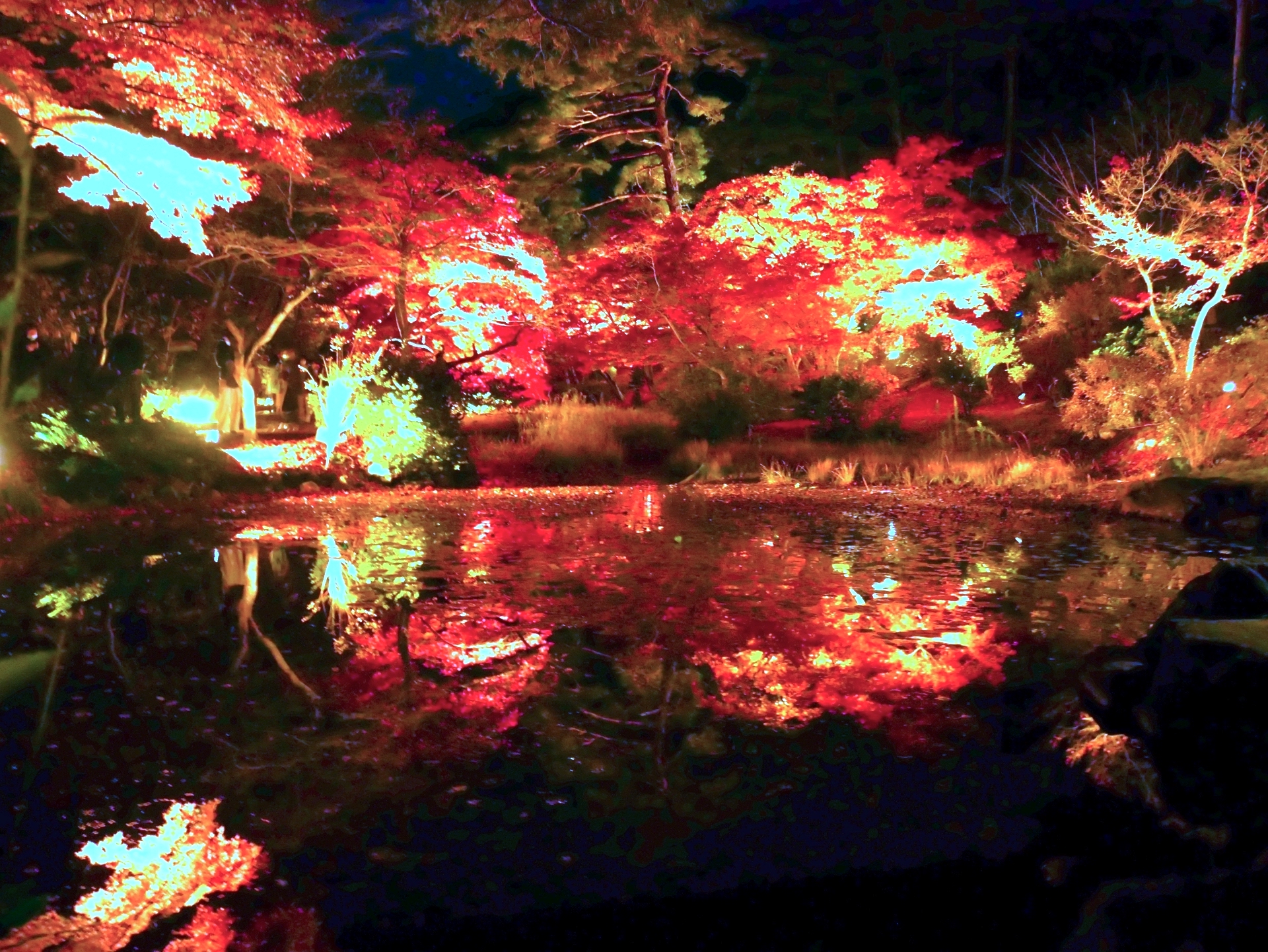 弥彦公園