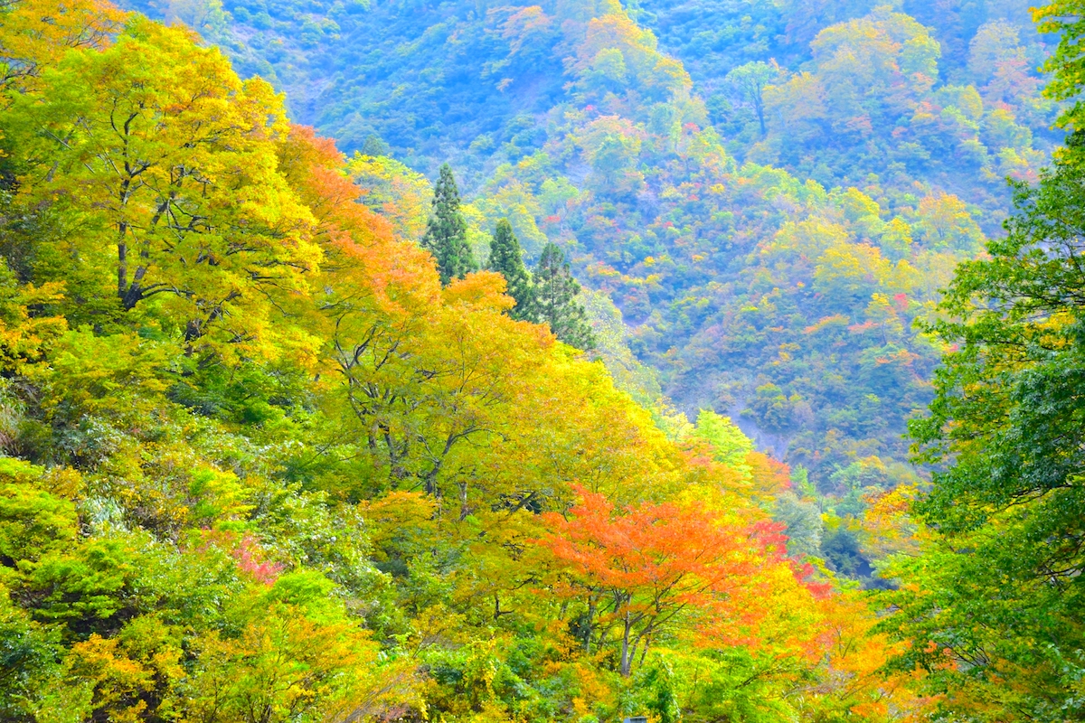 清津峡(清津峡渓谷トンネル)