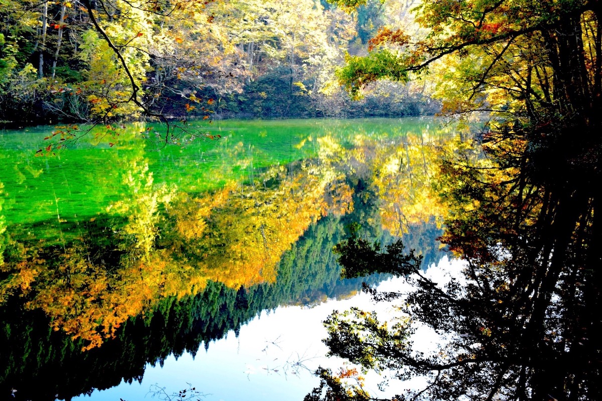竜ヶ窪の池