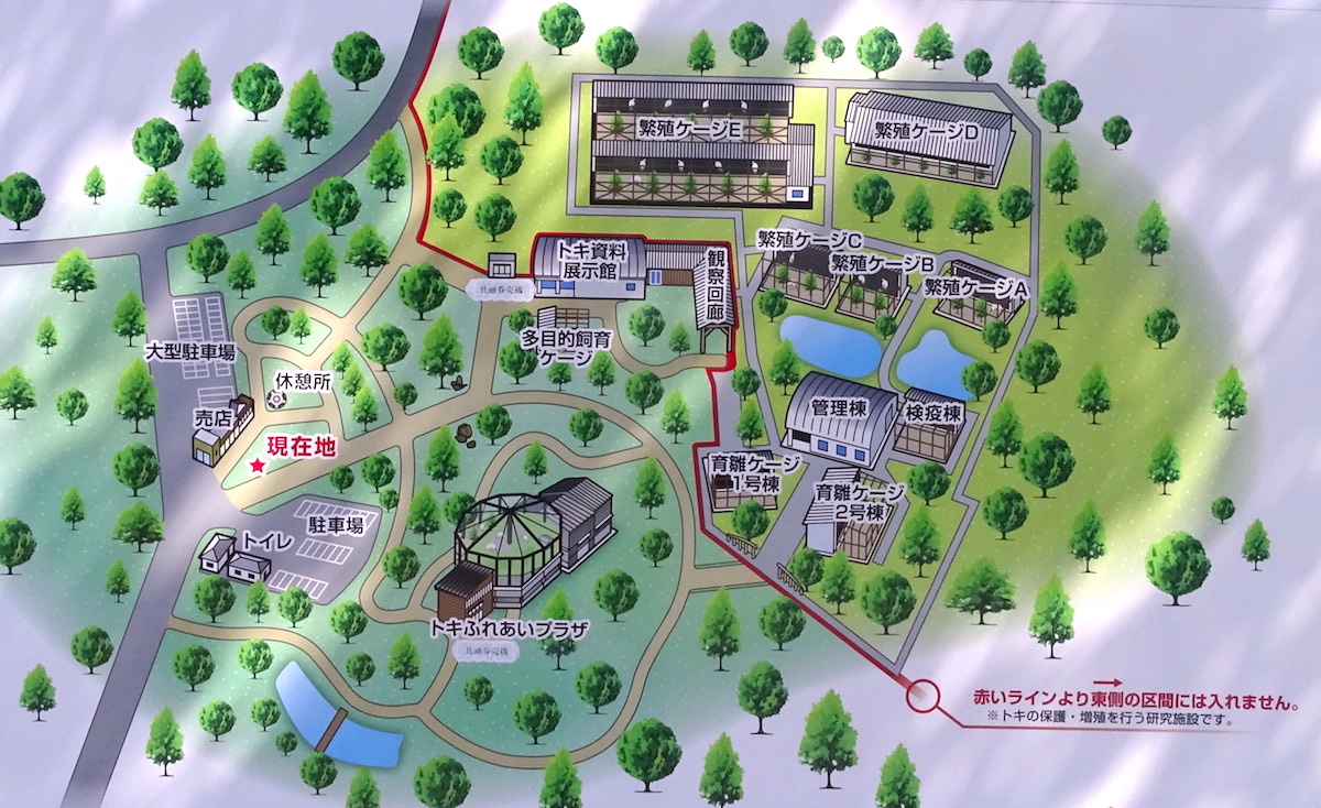トキの森公園
