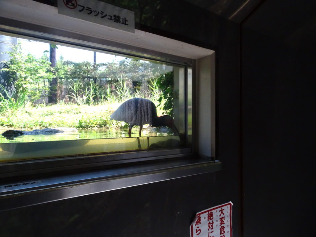 トキふれあいプラザ