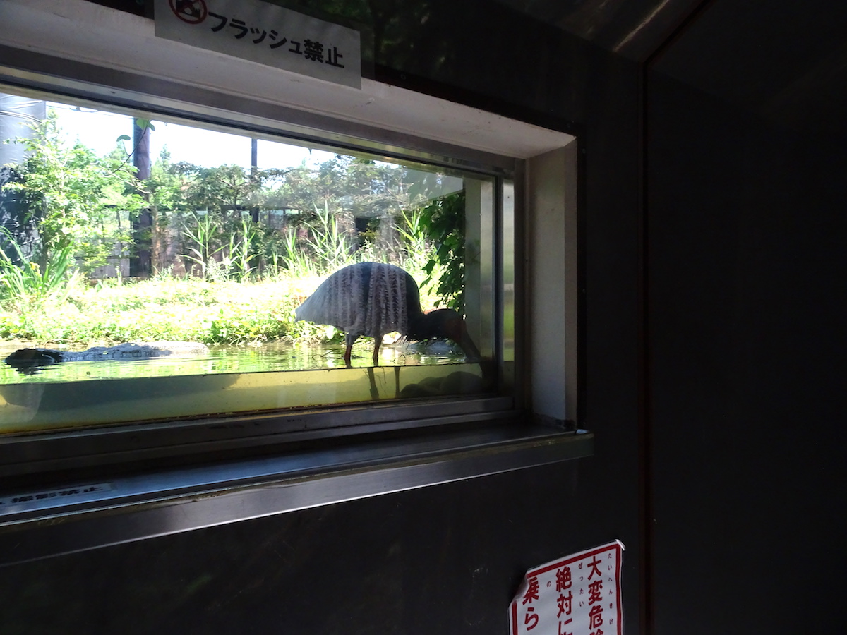 トキふれあいプラザ