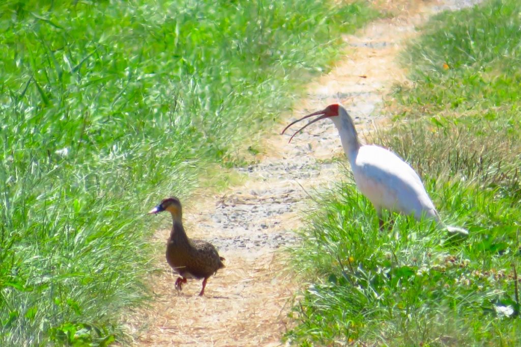 トキふれあいプラザ
