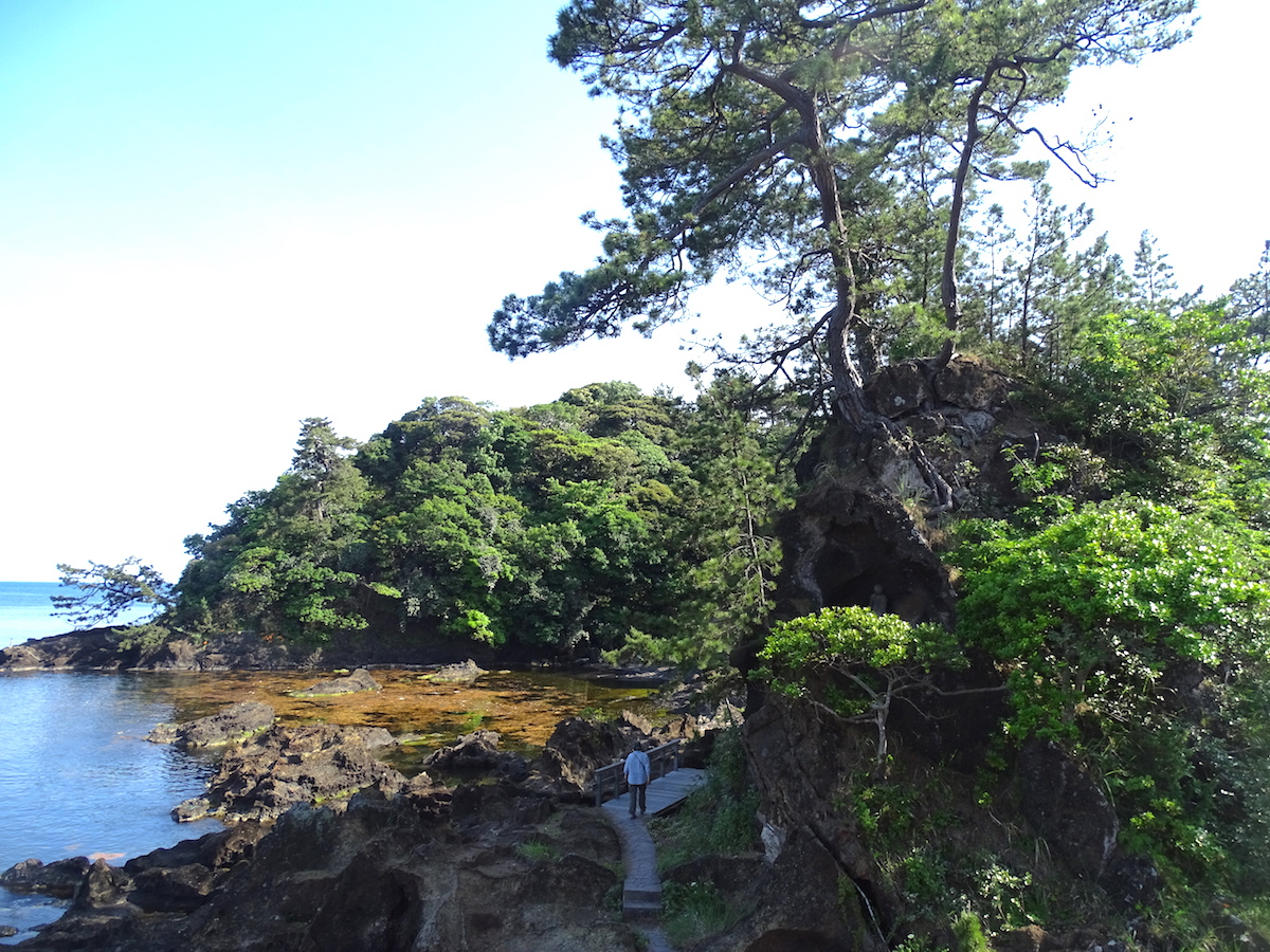 矢島・経島