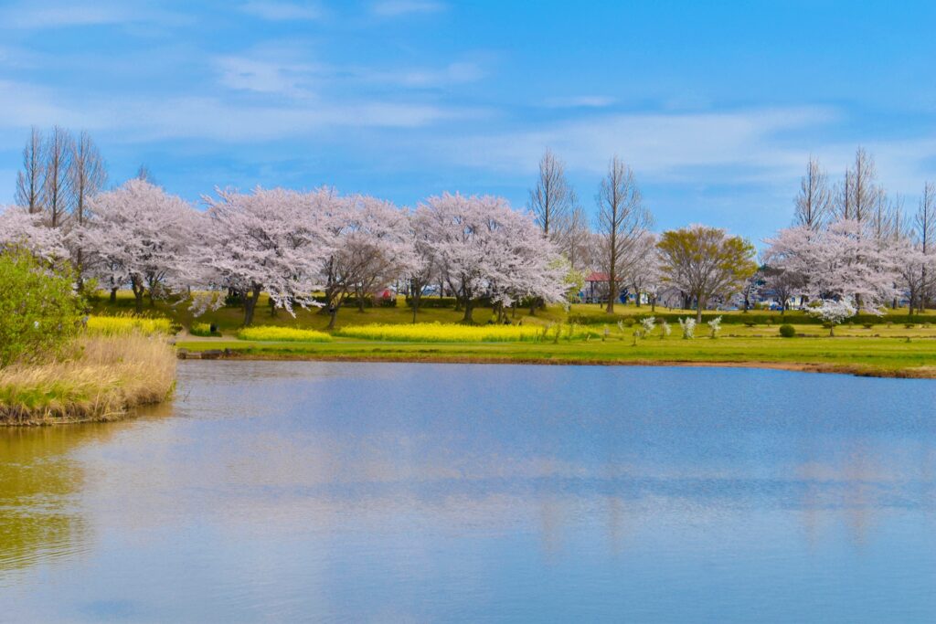 上堰潟公園