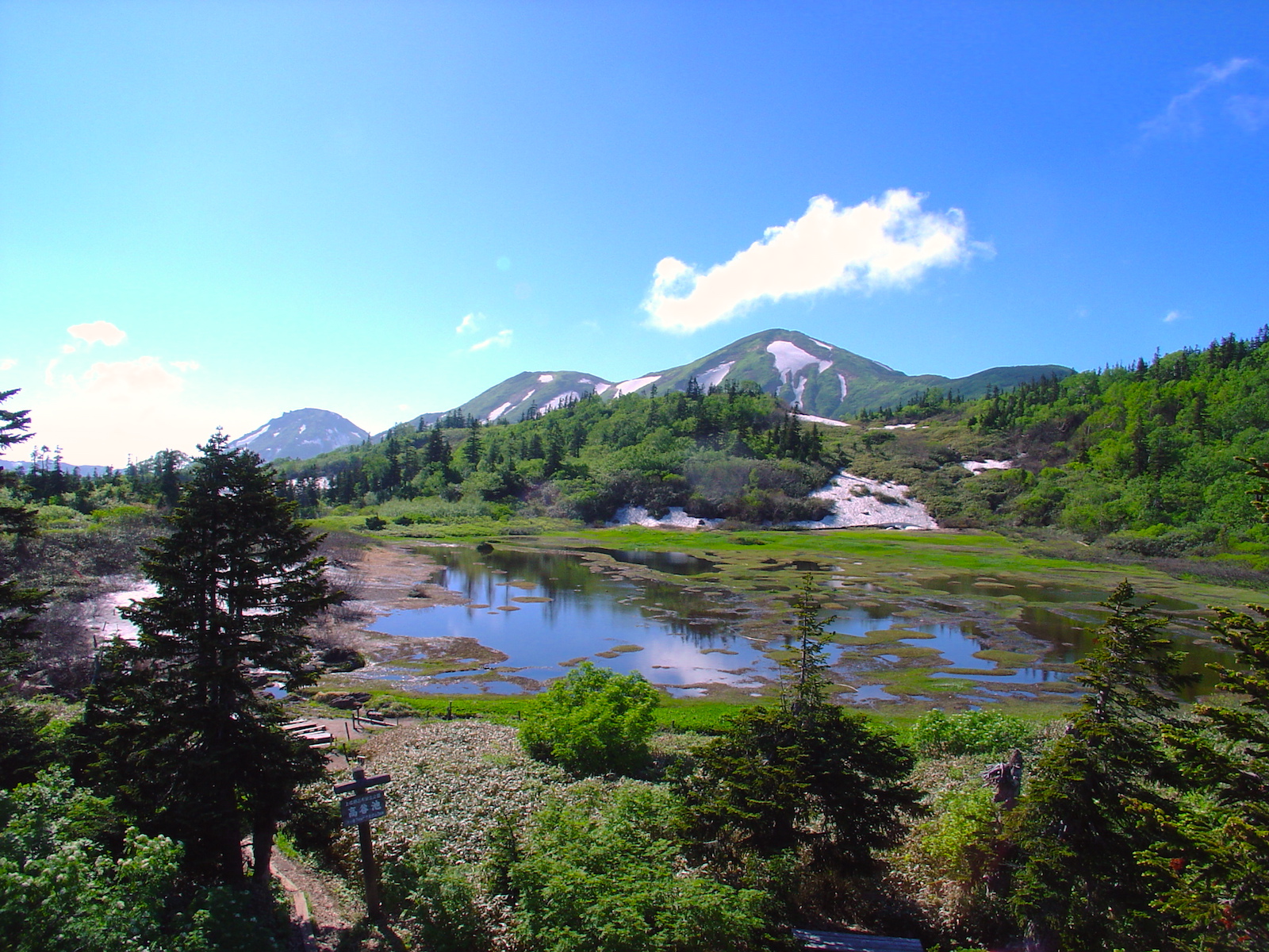 高谷池