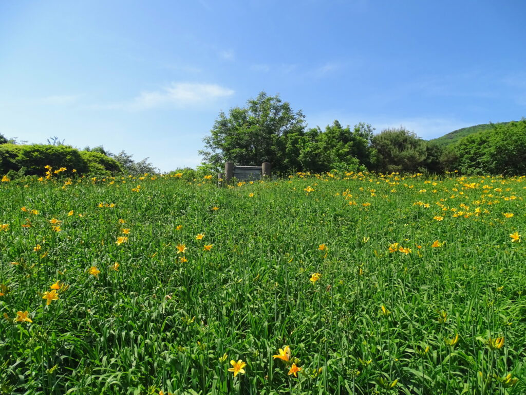大佐渡スカイライン・大平高原