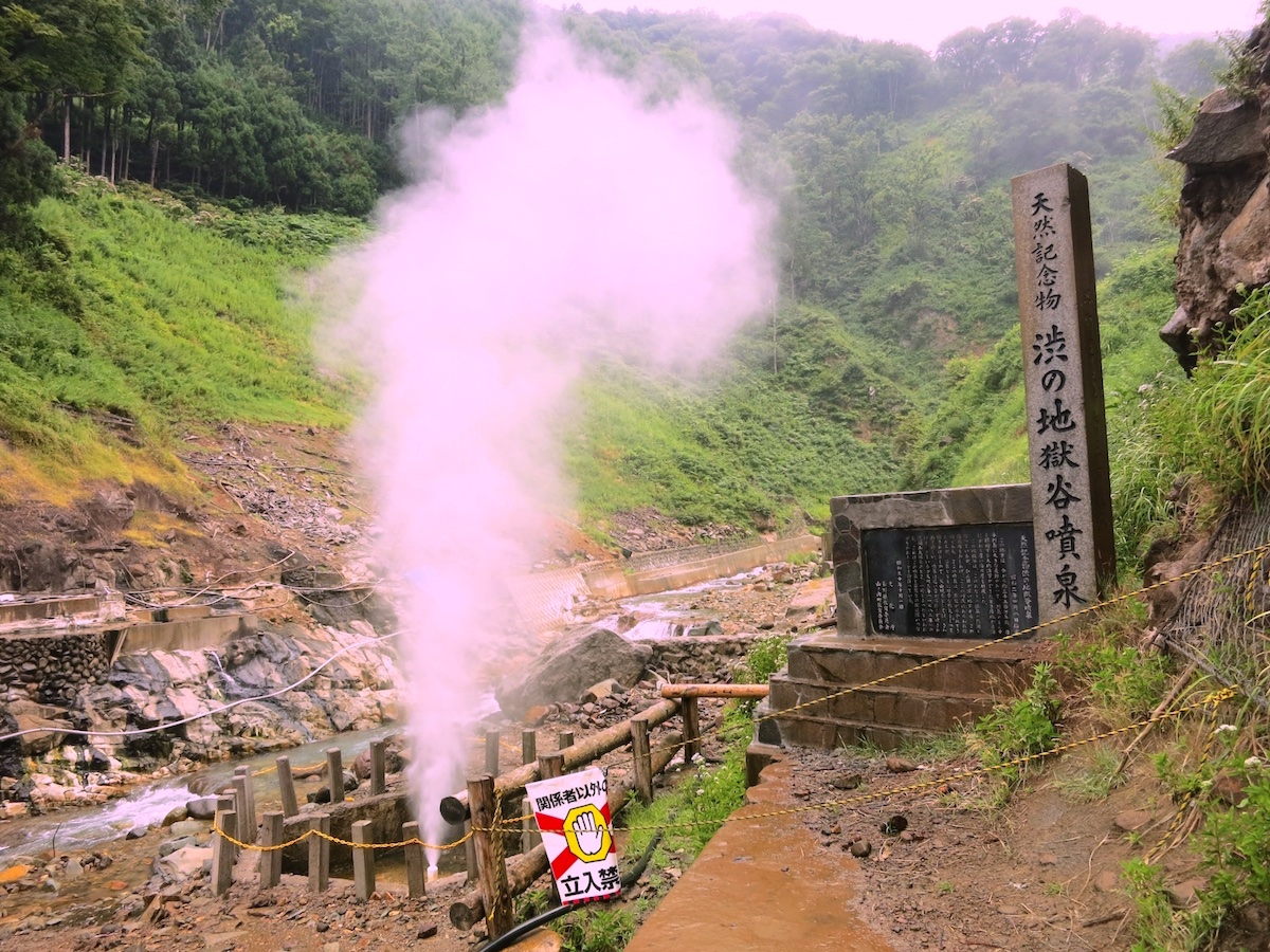 国の天然記念物「渋の地獄谷噴泉」