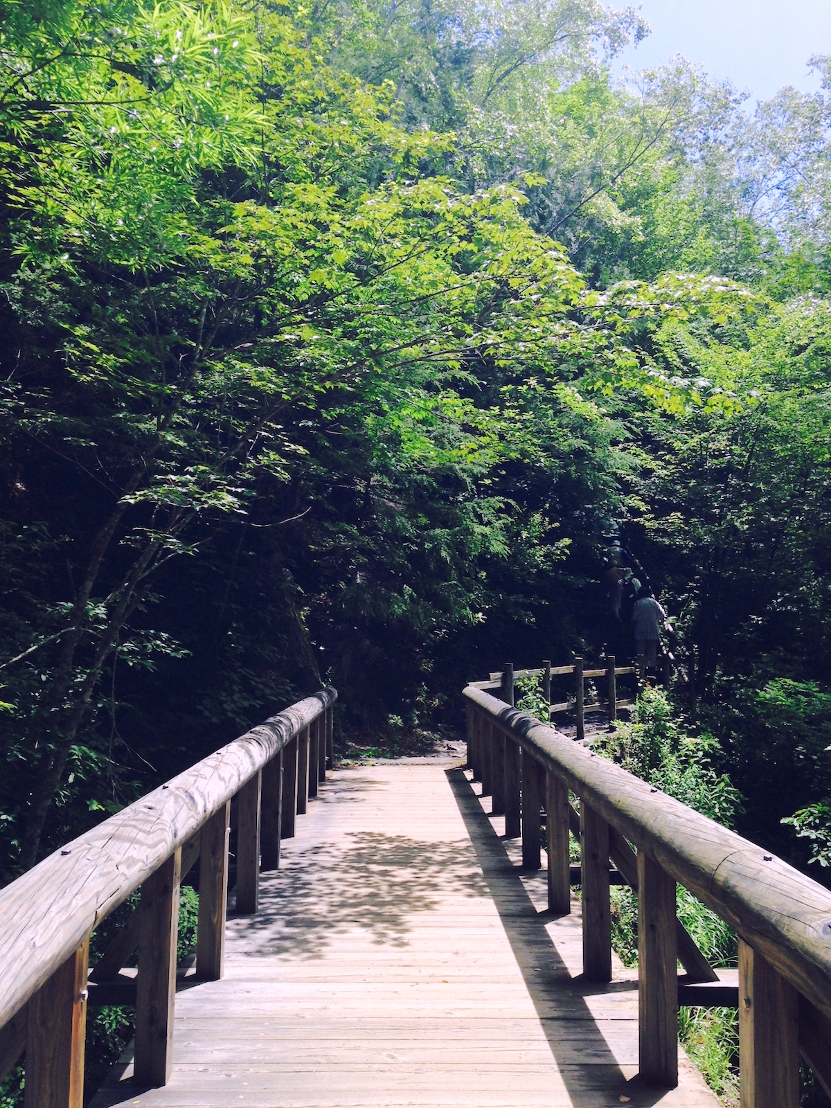 善五郎滝