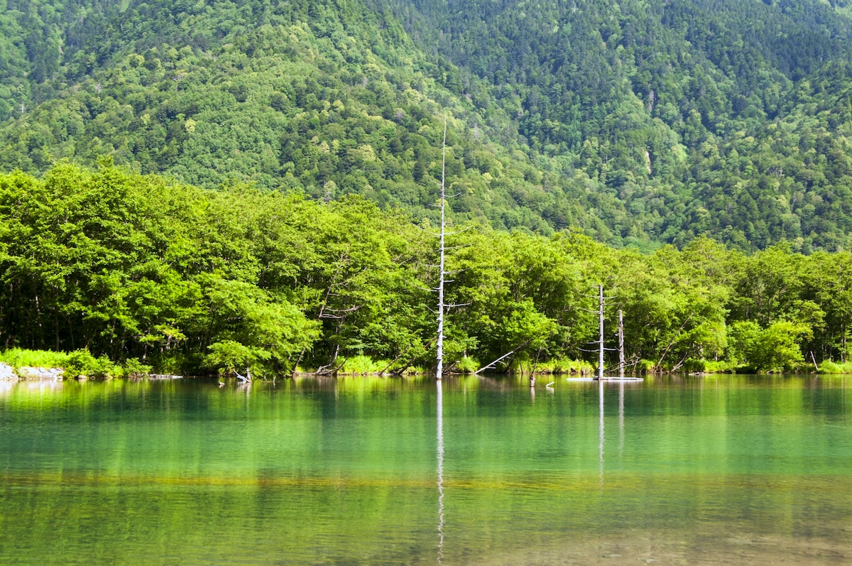 大正池