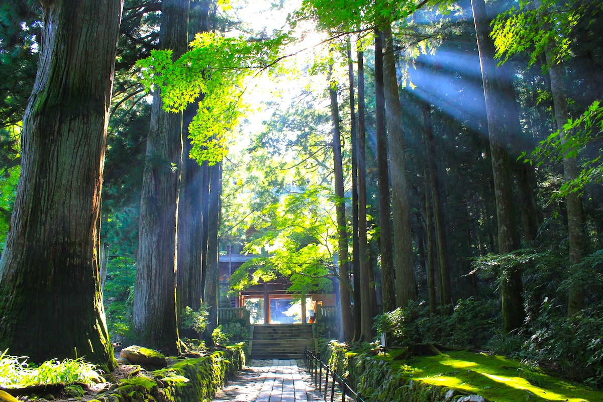 光前寺
