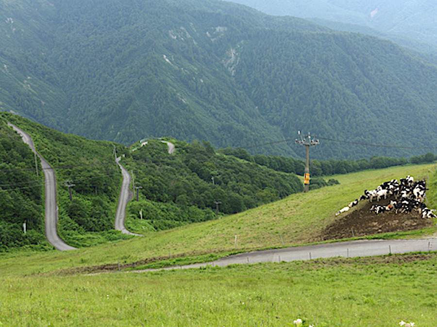 黒菱林道（黒菱ライン）
