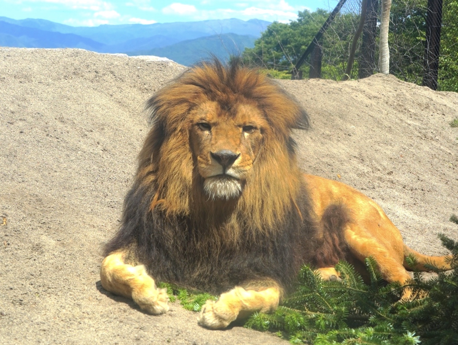 長野市茶臼山動物園