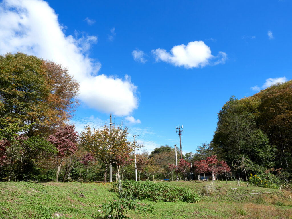 篠ノ井線廃線敷・けやきの森自然園
