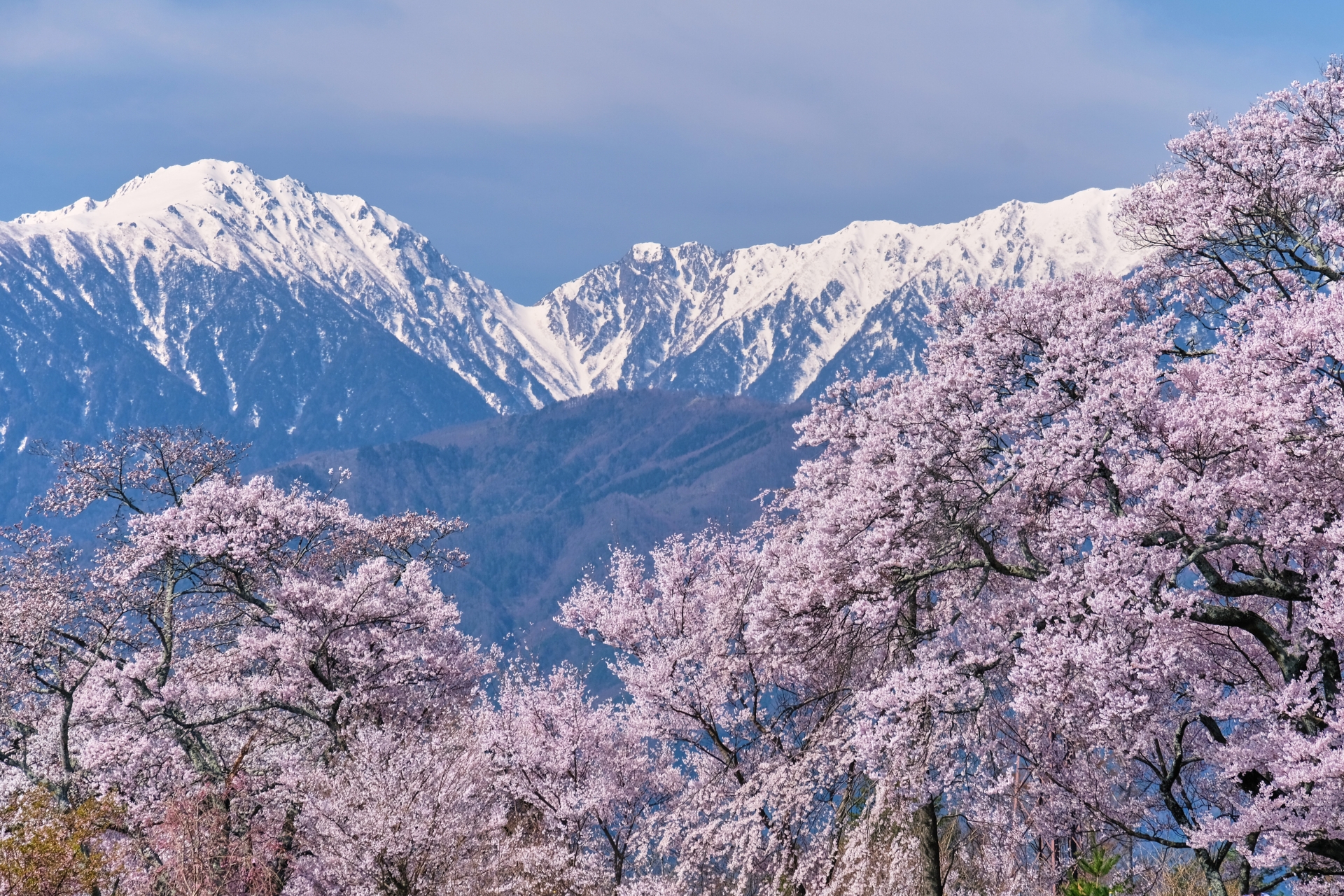 六道の堤