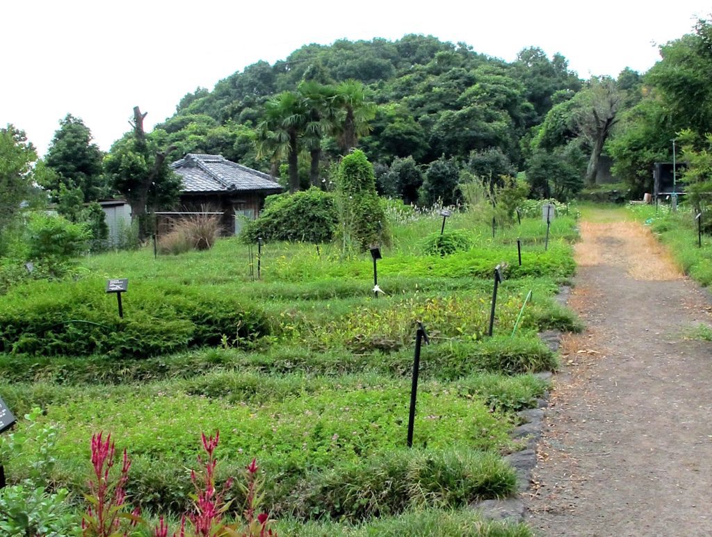 旧島原藩薬園跡