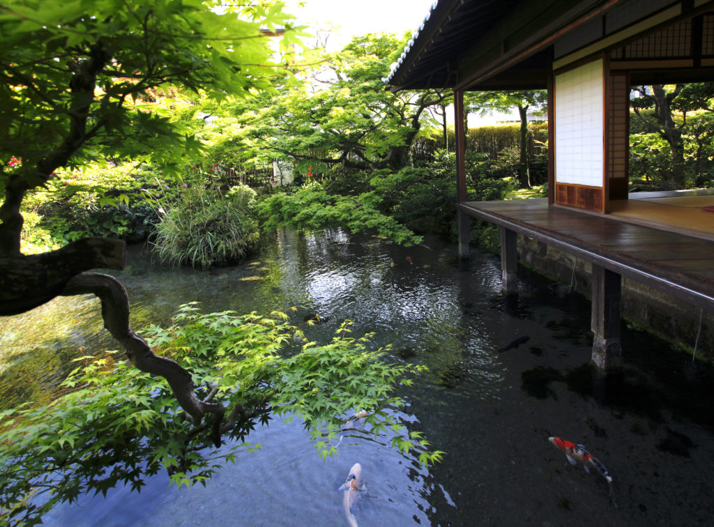島原湧水群・湧水庭園四明荘