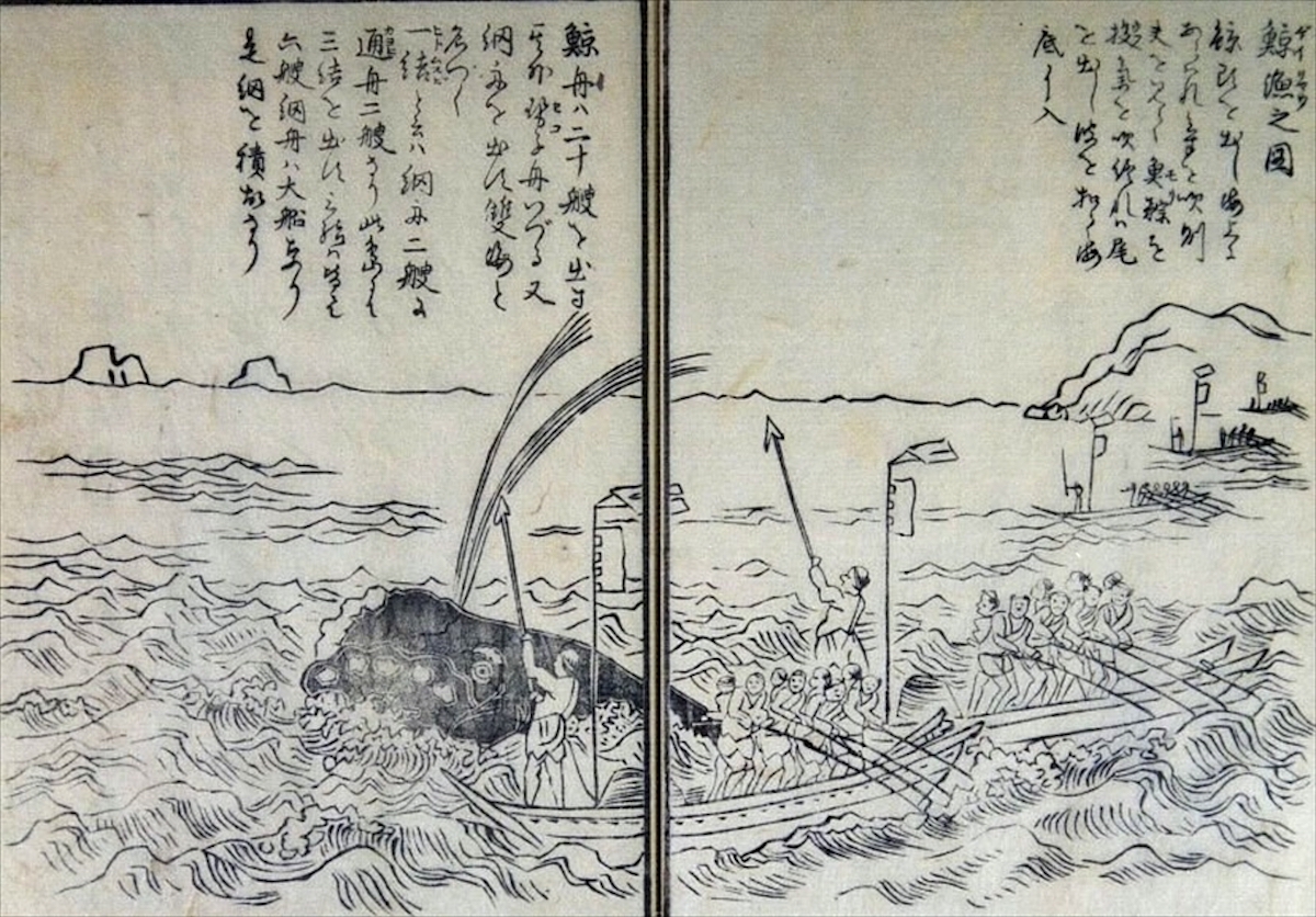 司馬江漢『鯨漁之図』