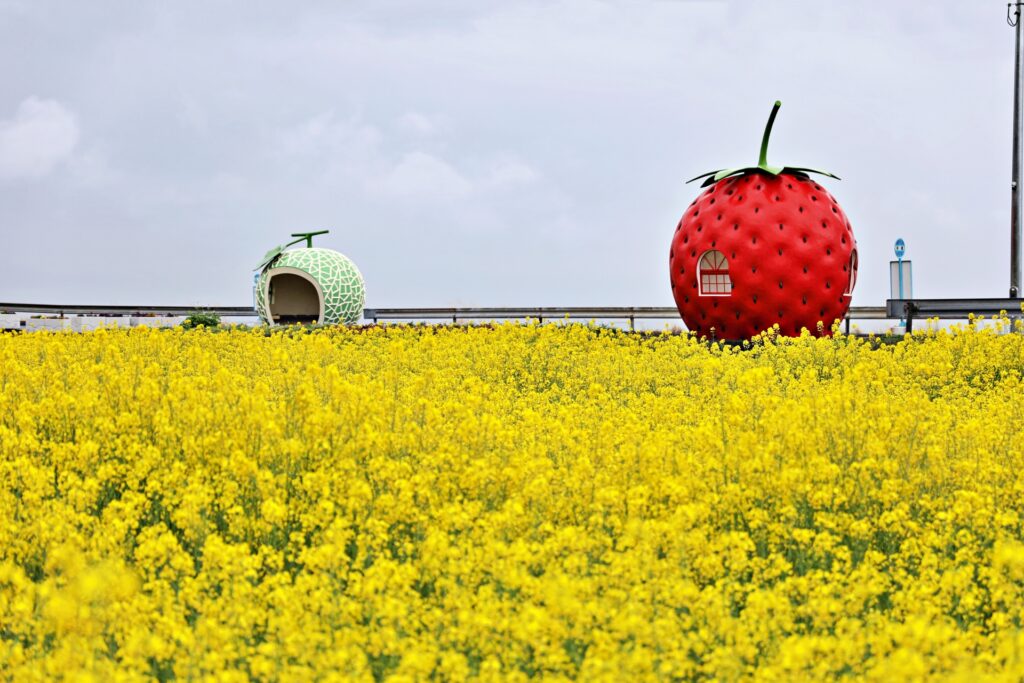 イチゴのバス停・井崎バス停（県界方面行き）