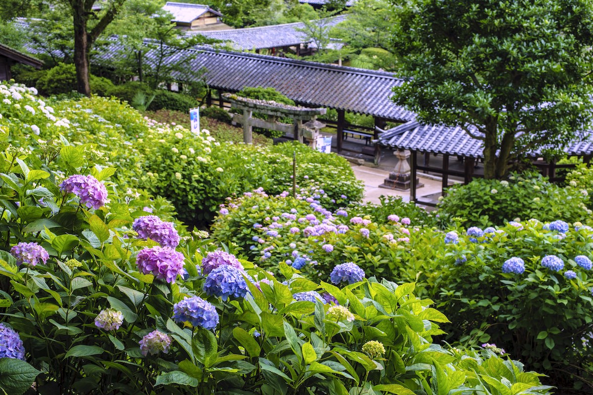 吉備津神社