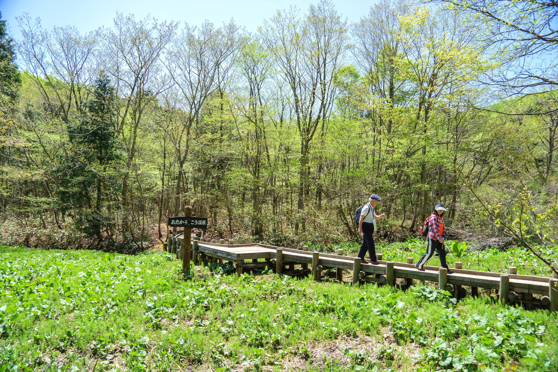 岡山県立森林公園