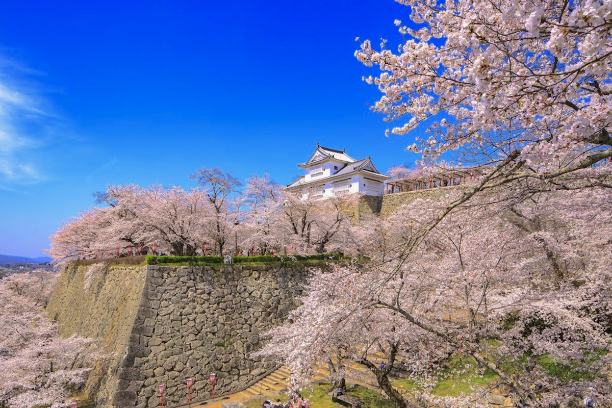 津山城(鶴山公園)
