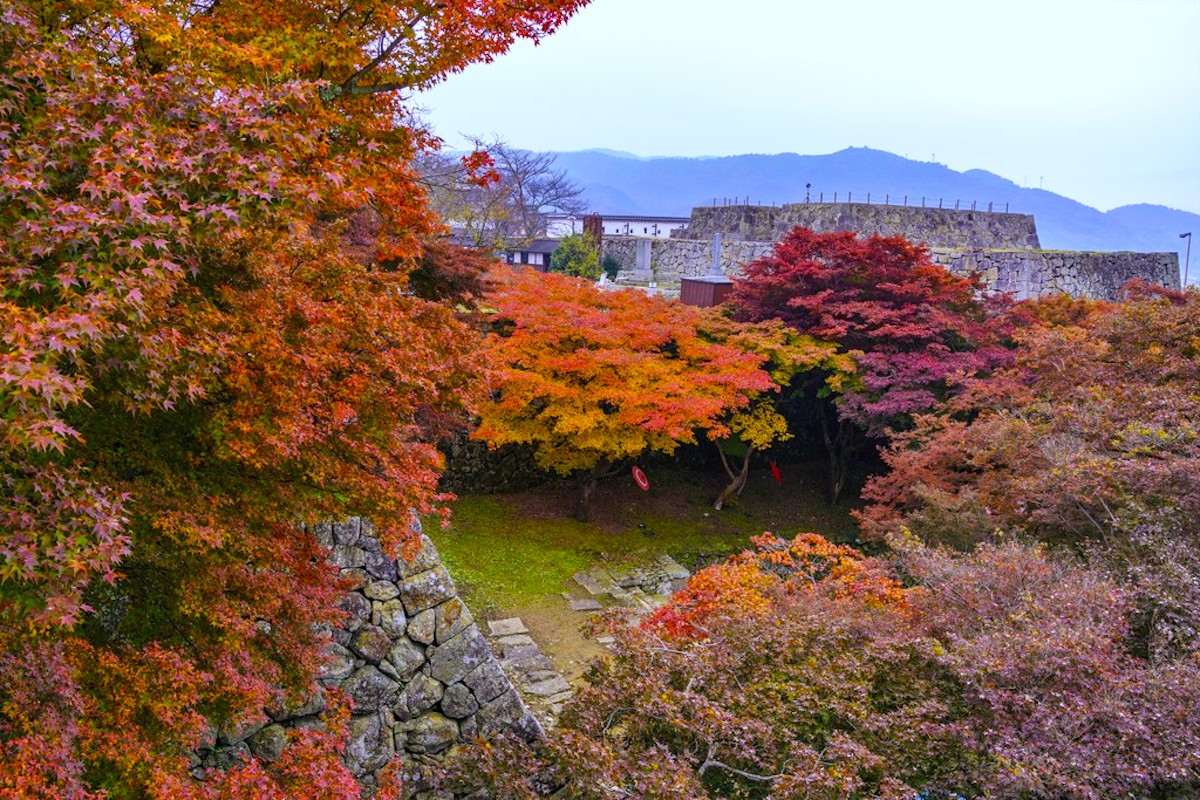 津山城(鶴山公園)