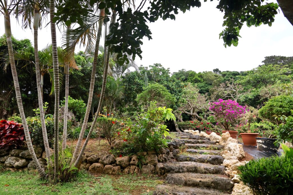 宮古島市熱帯植物園