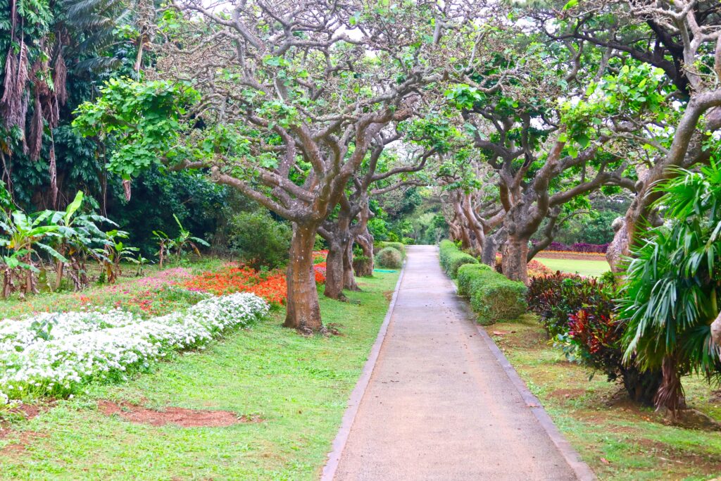 宮古島市熱帯植物園