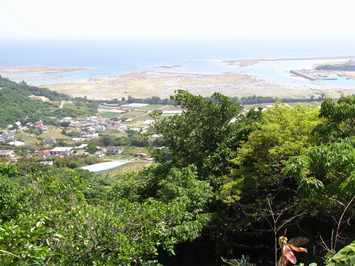 玉城城