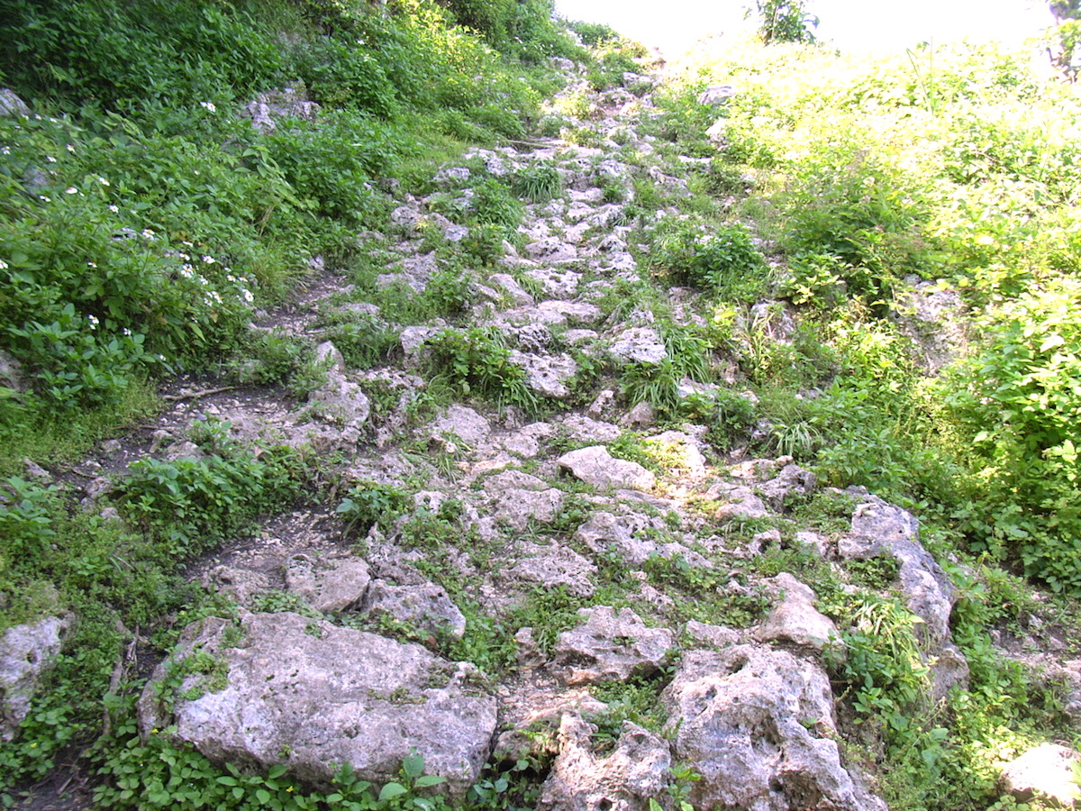 玉城城