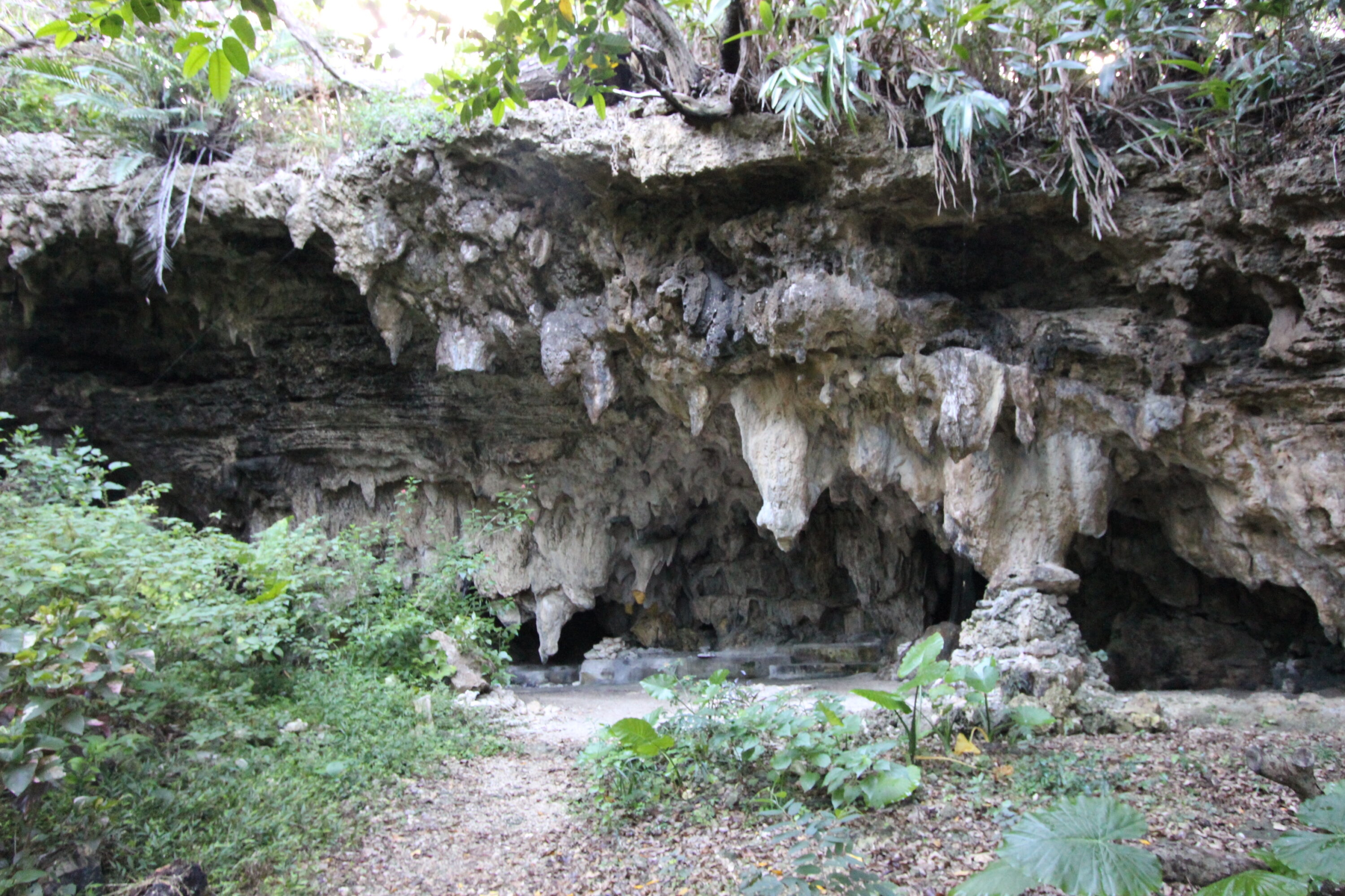 藪地洞穴遺跡（ジャネー洞）