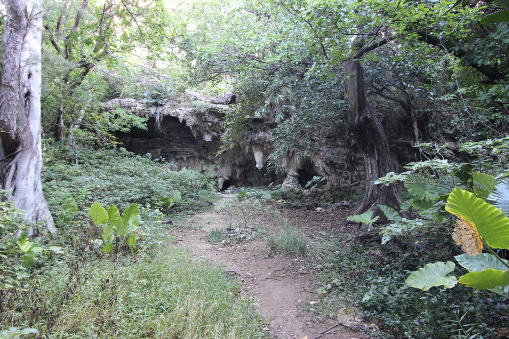 藪地洞穴遺跡（ジャネー洞）
