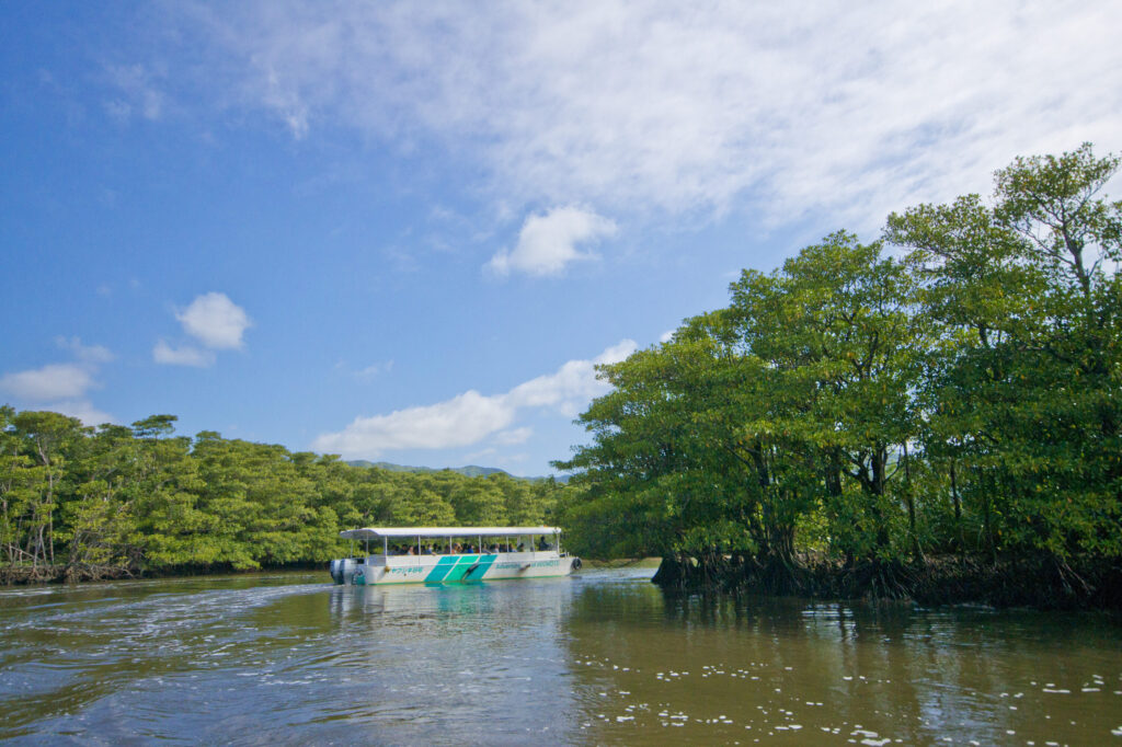 仲間川