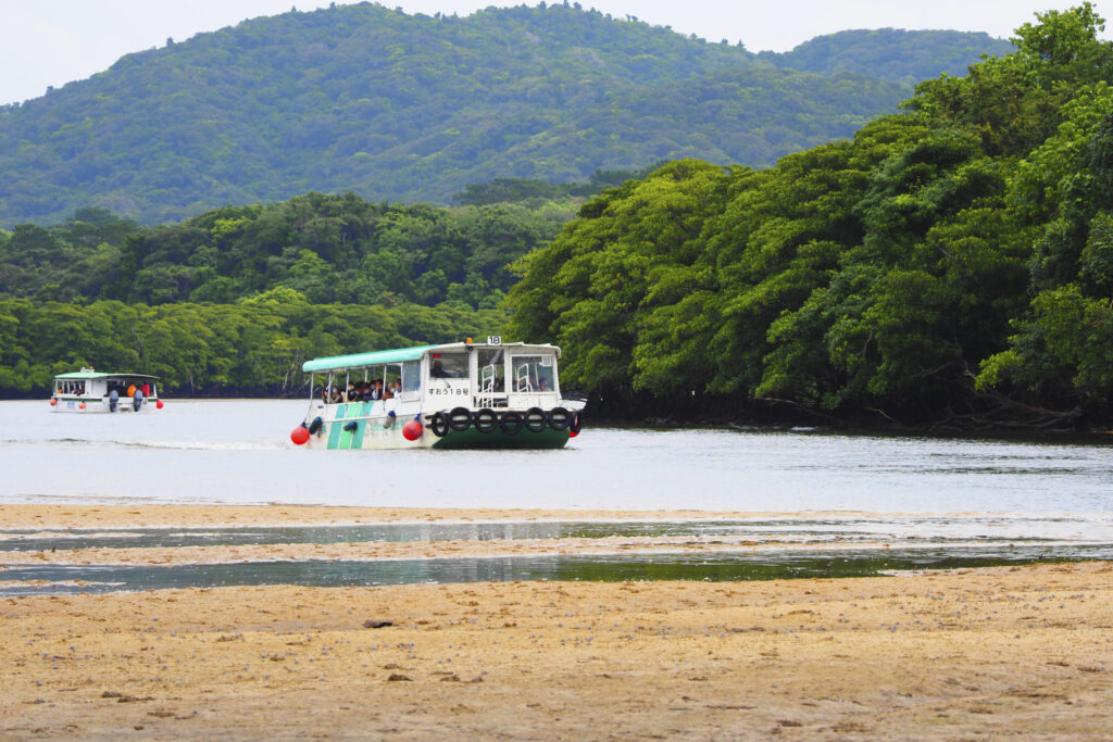 仲間川マングローブクルーズ（西表島交通）