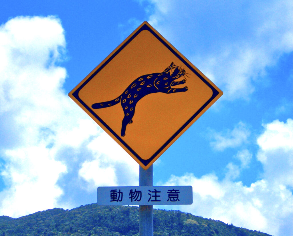 イリオモテヤマネコ注意の道路標識