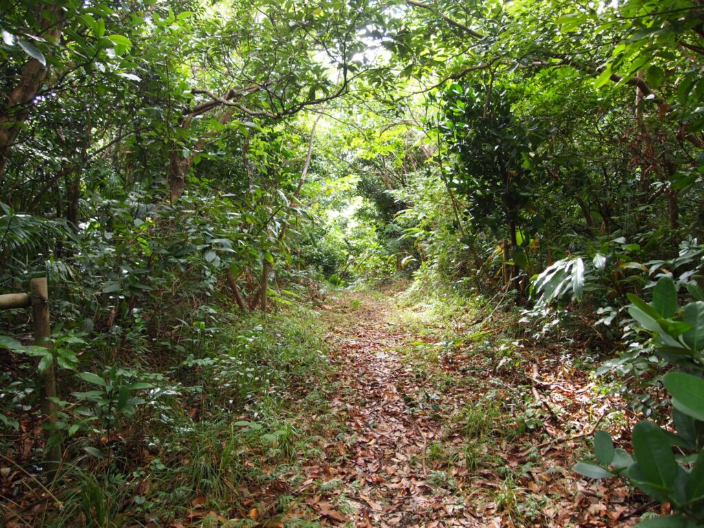 人面岩（与那国島）