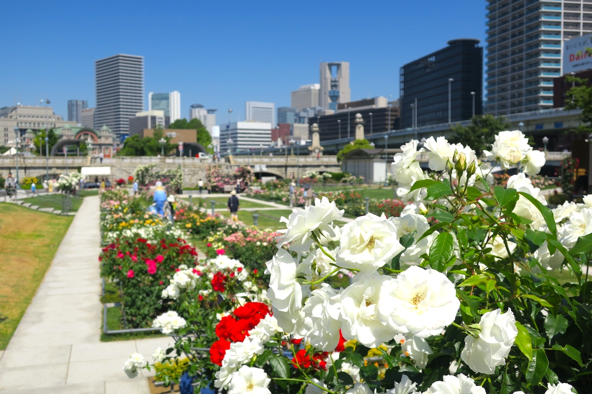 中之島公園