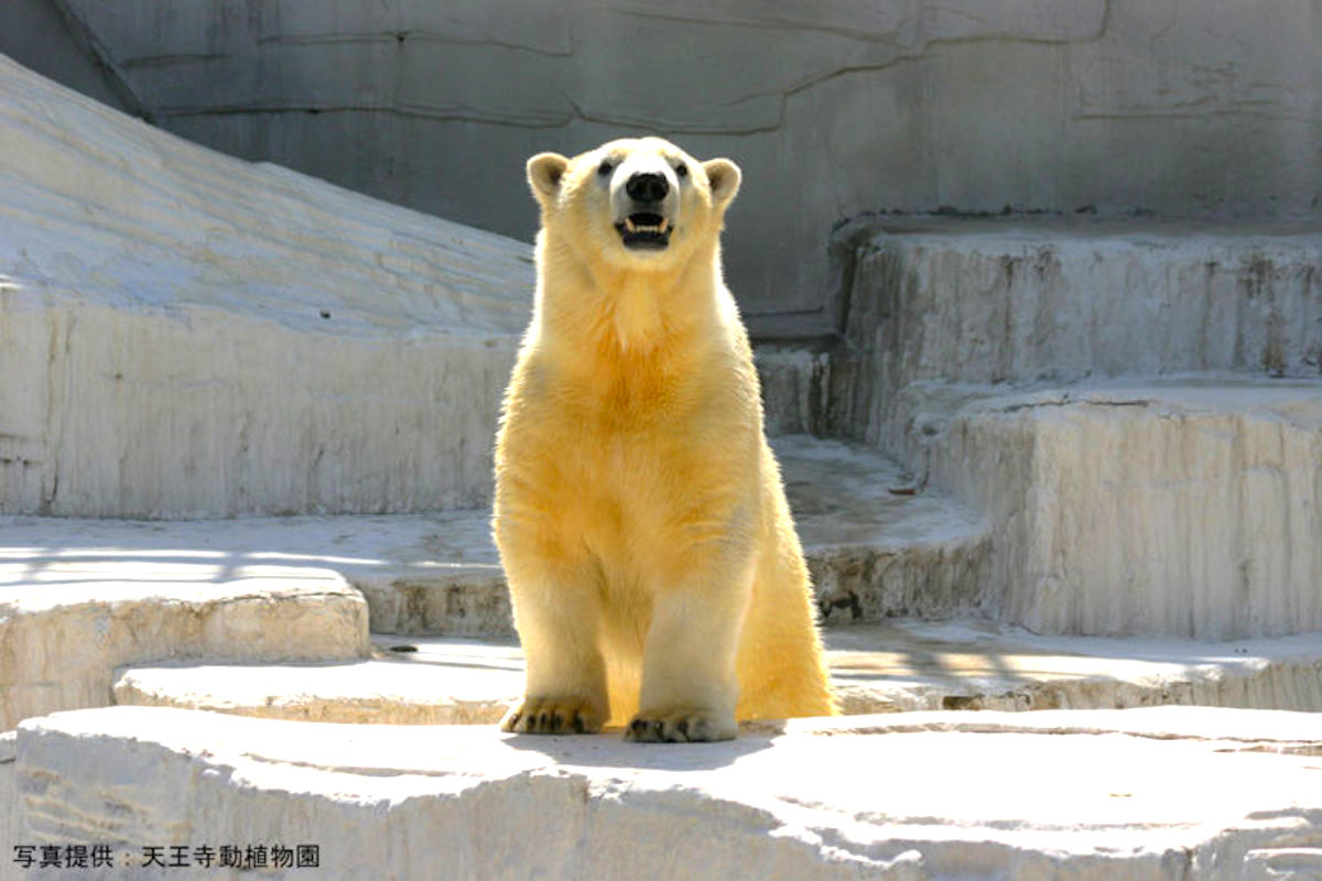 天王寺動物園
