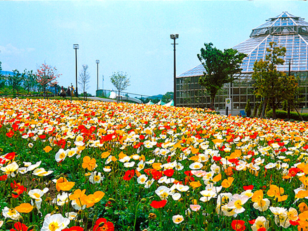 富田林市農業公園サバーファーム