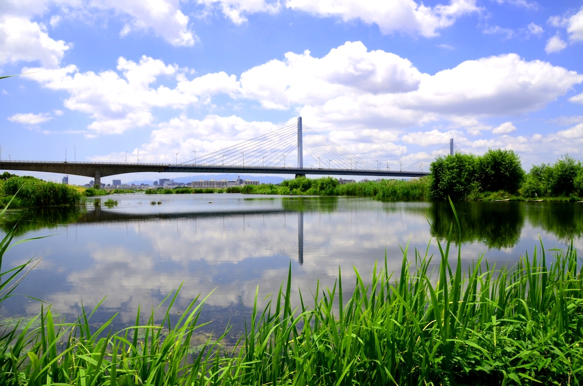 淀川ワンド・城北ワンド群