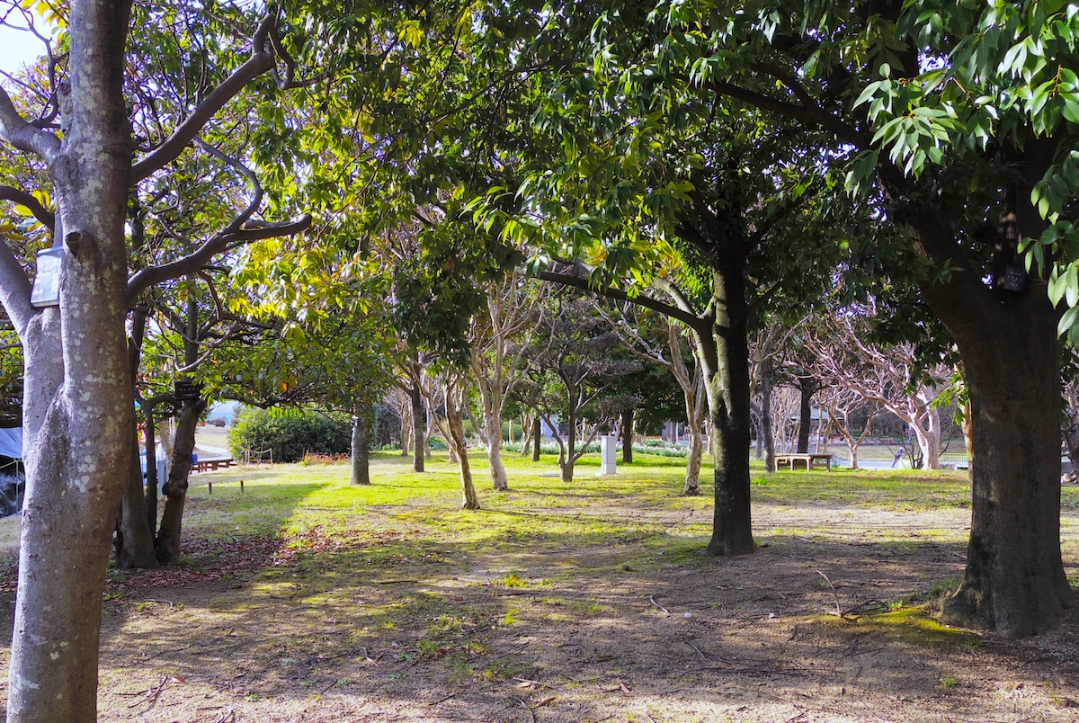 大阪市立長居植物園