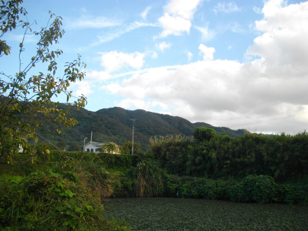 高安山