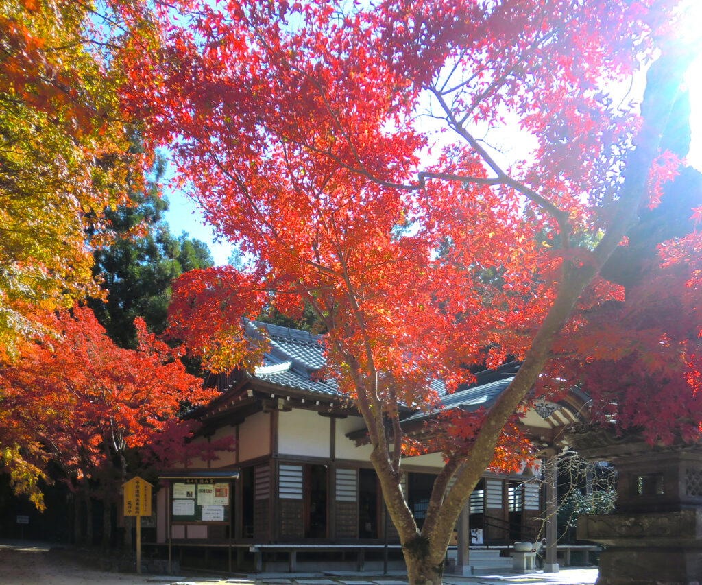 神峯山寺